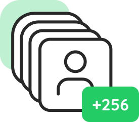 256